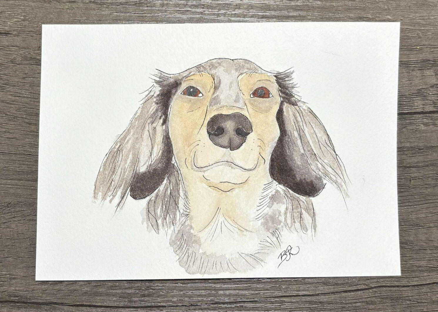 Watercolor pet &amp; ink portrait